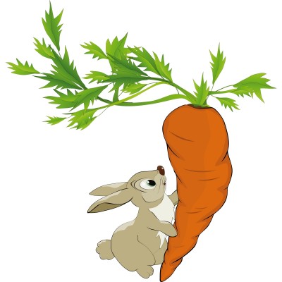 http://fionaboydphillips.files.wordpress.com/2013/01/rabbit-and-carrot.jpg